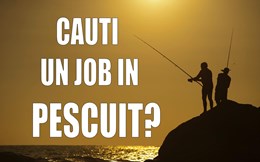 MimTeam isi mareste echipa!